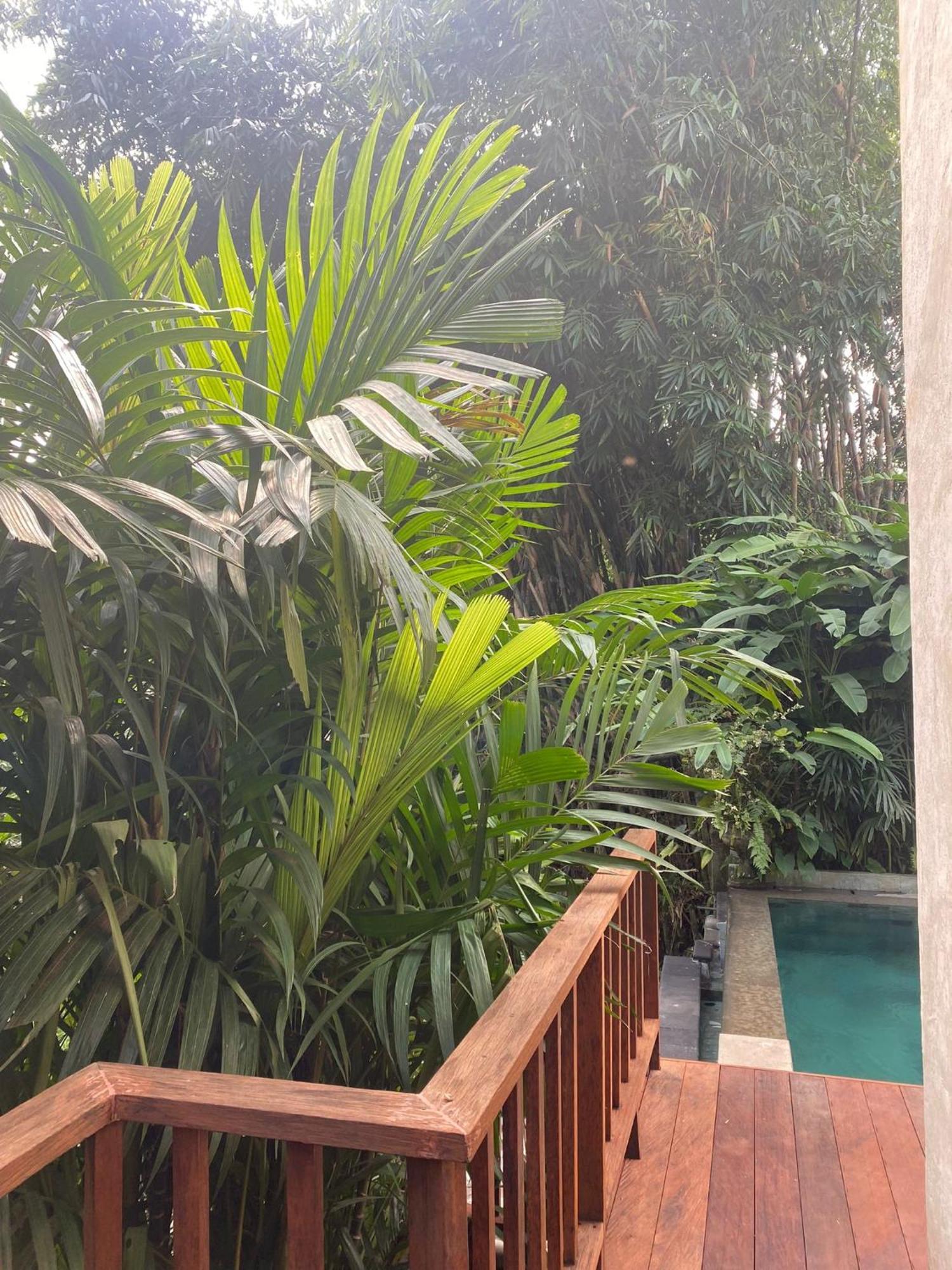 Villa Purnamasari Ubud Eksteriør bilde